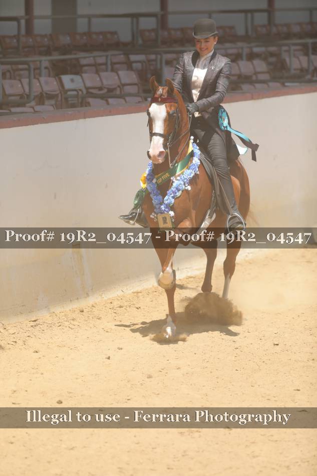 Proof 19R2_04547