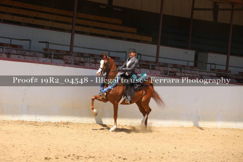 Proof 19R2_04548