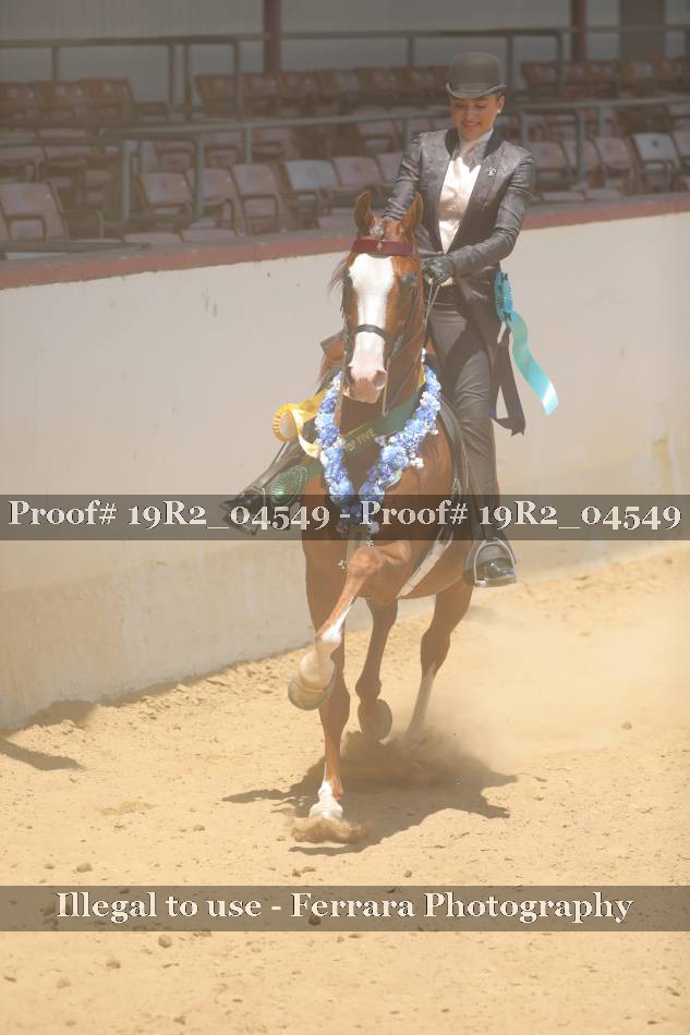 Proof 19R2_04549