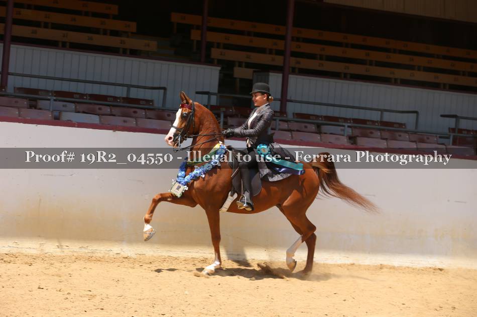 Proof 19R2_04550