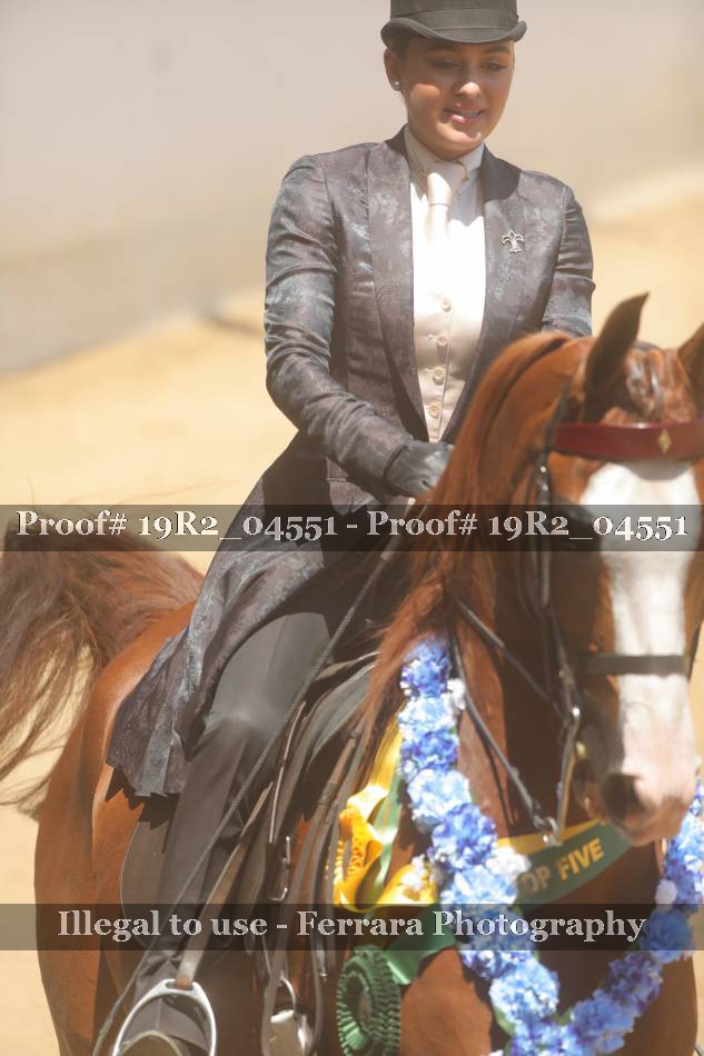 Proof 19R2_04551