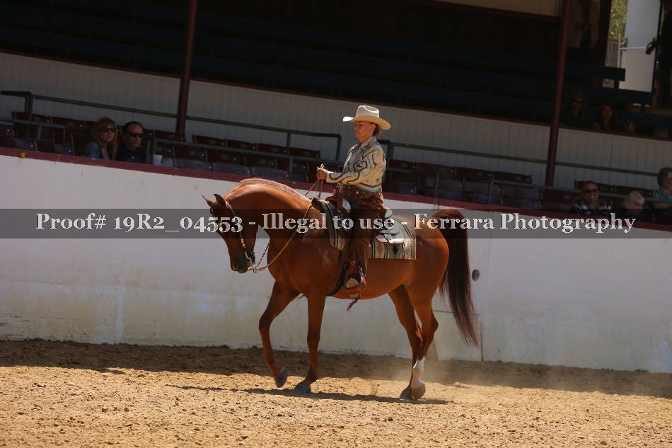 Proof 19R2_04553