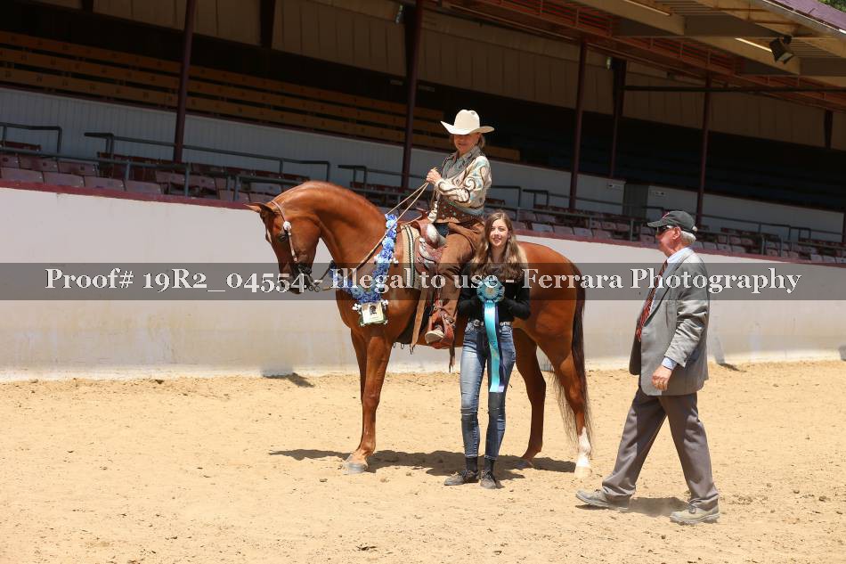 Proof 19R2_04554