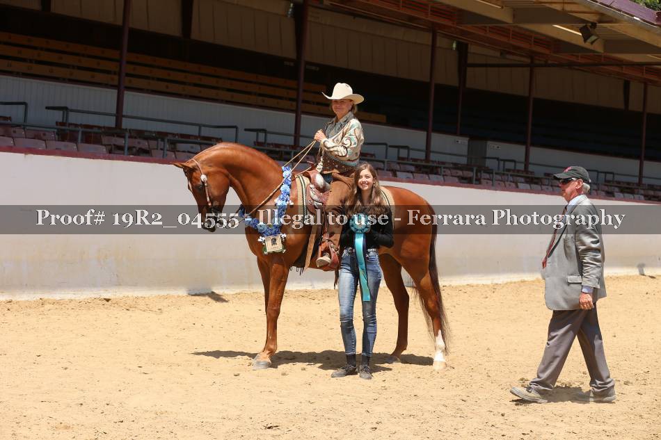 Proof 19R2_04555
