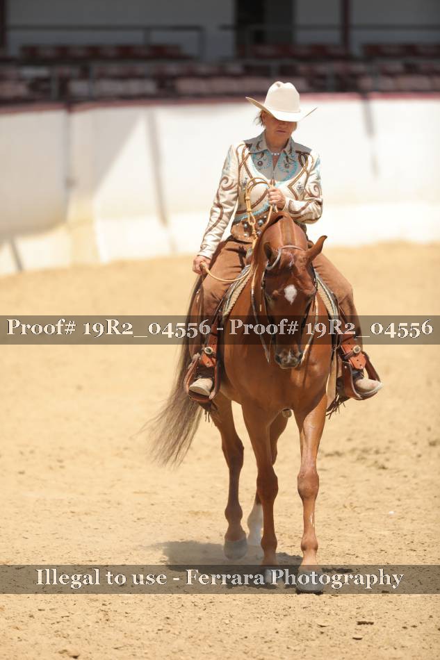 Proof 19R2_04556