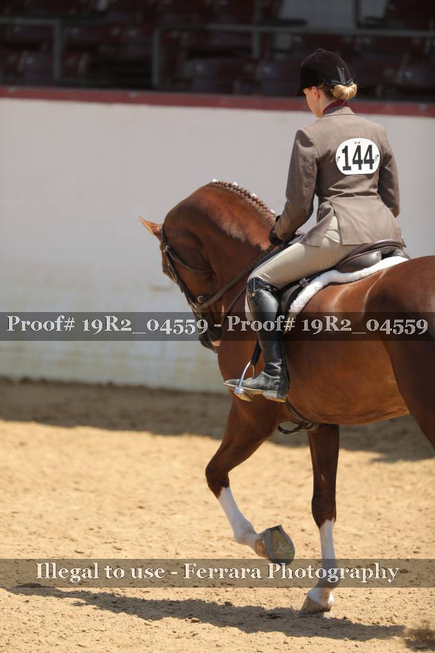 Proof 19R2_04559