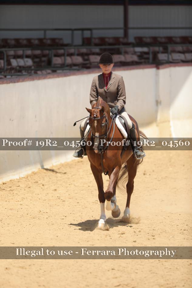 Proof 19R2_04560