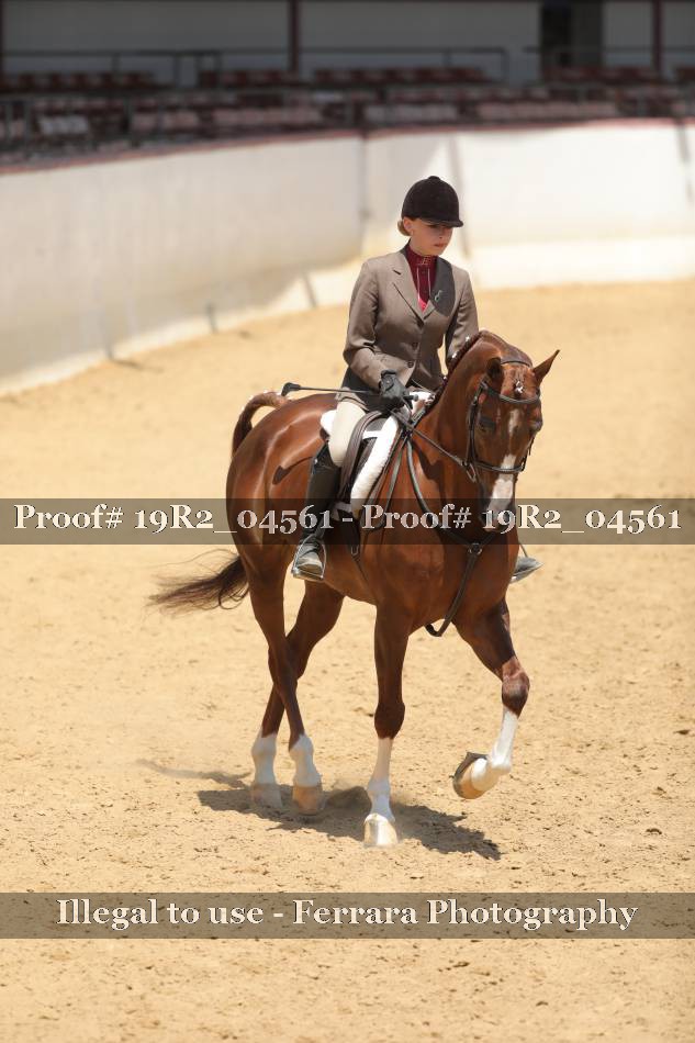 Proof 19R2_04561