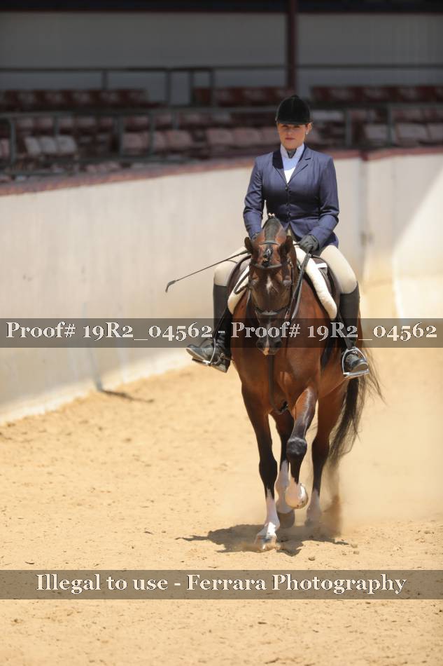 Proof 19R2_04562