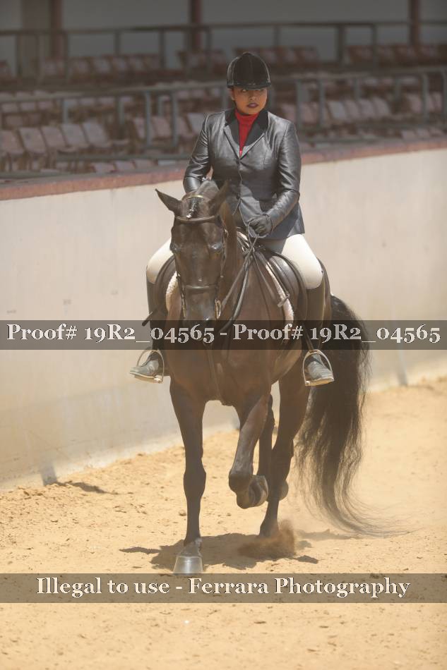 Proof 19R2_04565