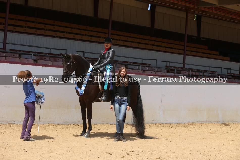 Proof 19R2_04566