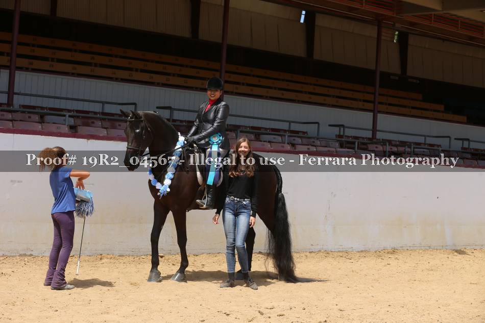 Proof 19R2_04567