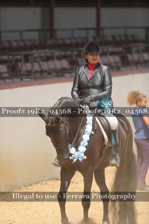 Proof 19R2_04568