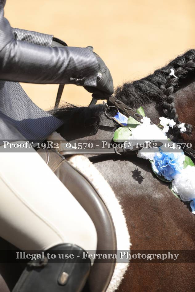 Proof 19R2_04570