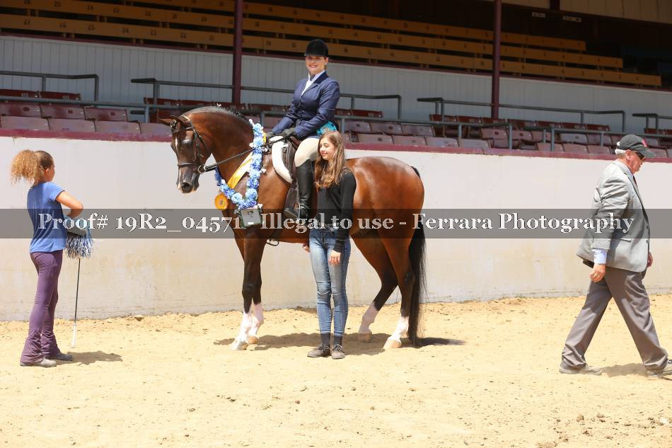 Proof 19R2_04571