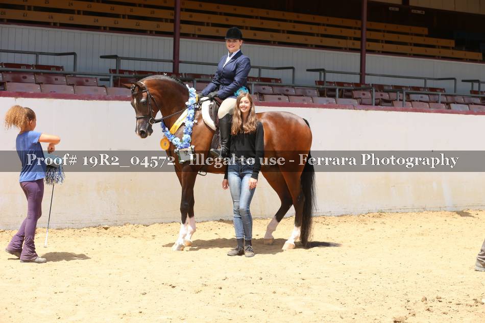 Proof 19R2_04572