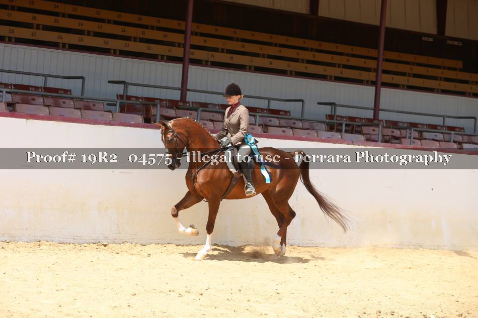 Proof 19R2_04575