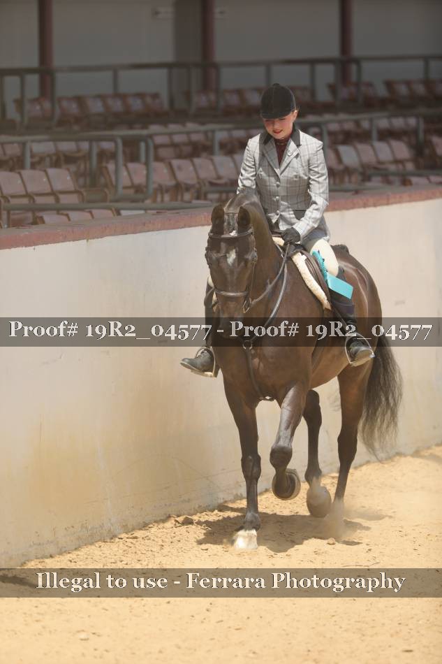 Proof 19R2_04577