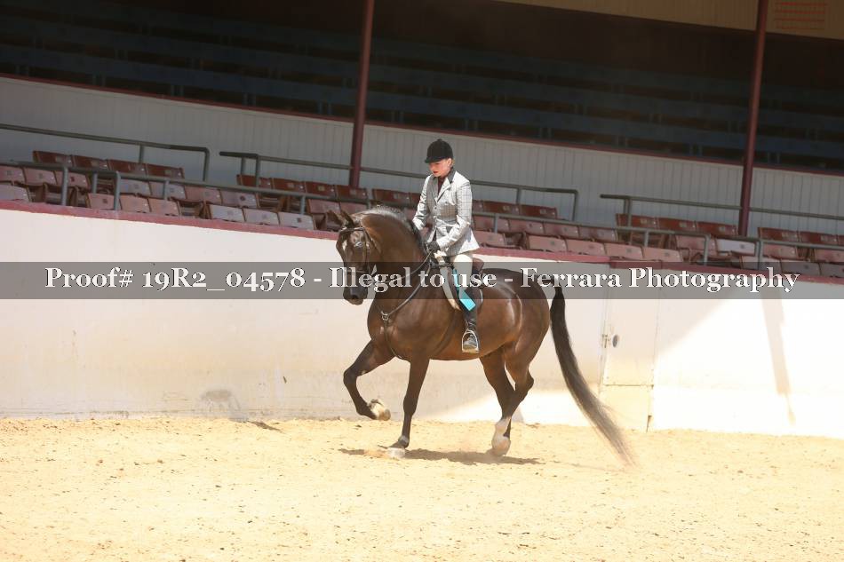 Proof 19R2_04578