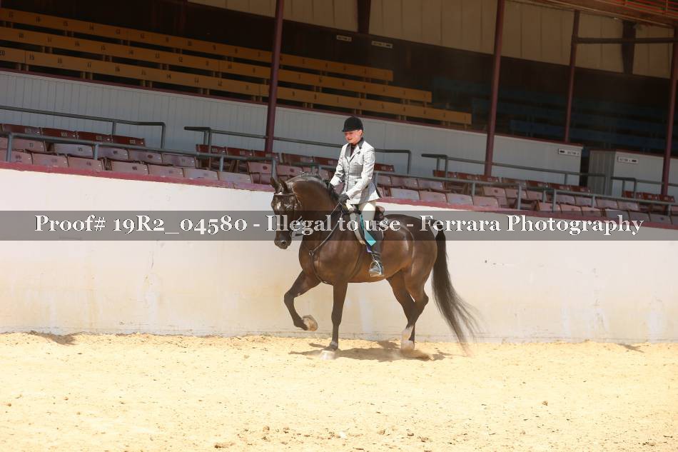 Proof 19R2_04580