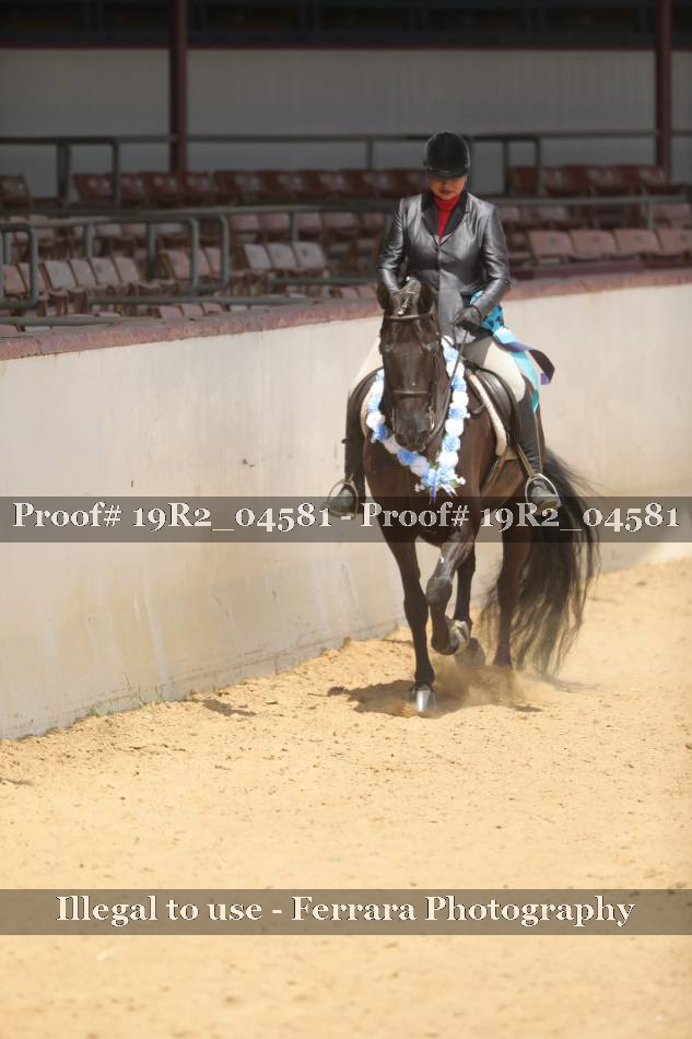 Proof 19R2_04581