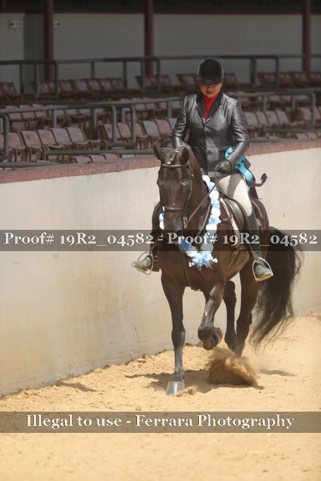Proof 19R2_04582