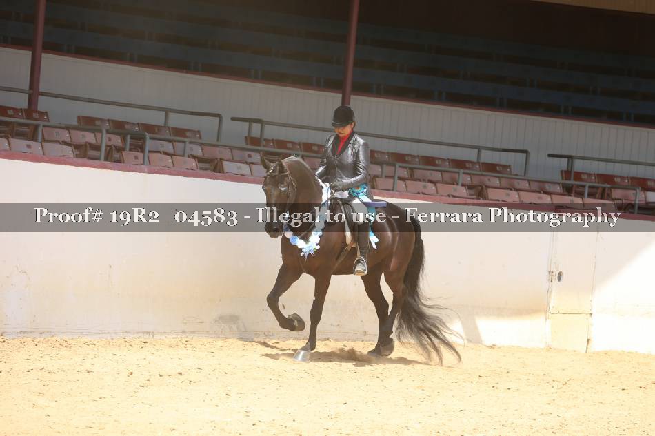 Proof 19R2_04583