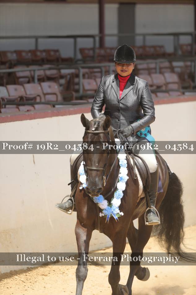 Proof 19R2_04584