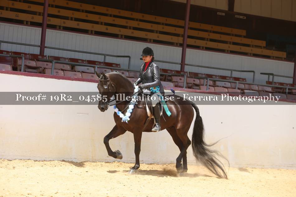 Proof 19R2_04585