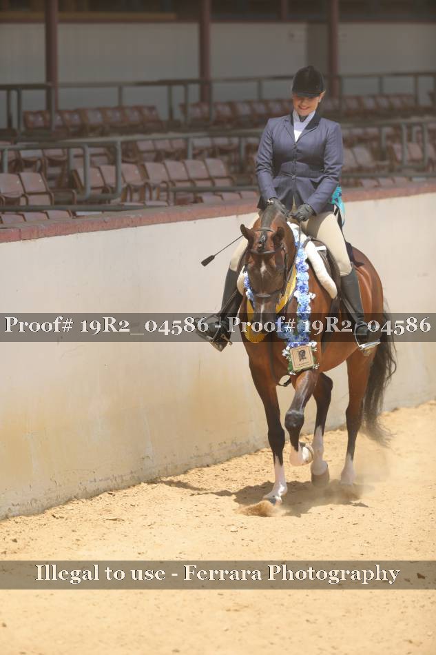 Proof 19R2_04586