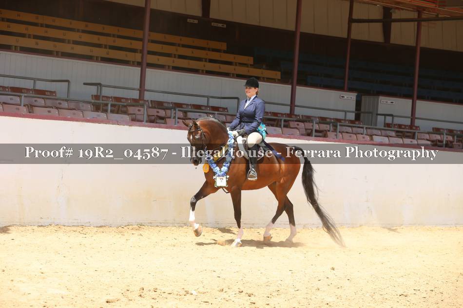 Proof 19R2_04587