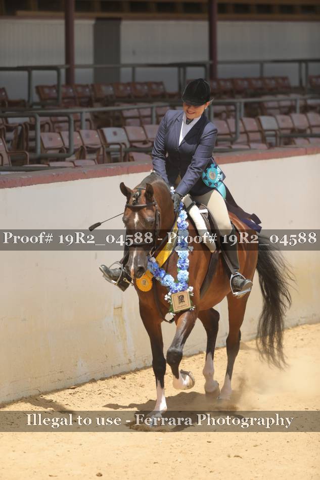 Proof 19R2_04588