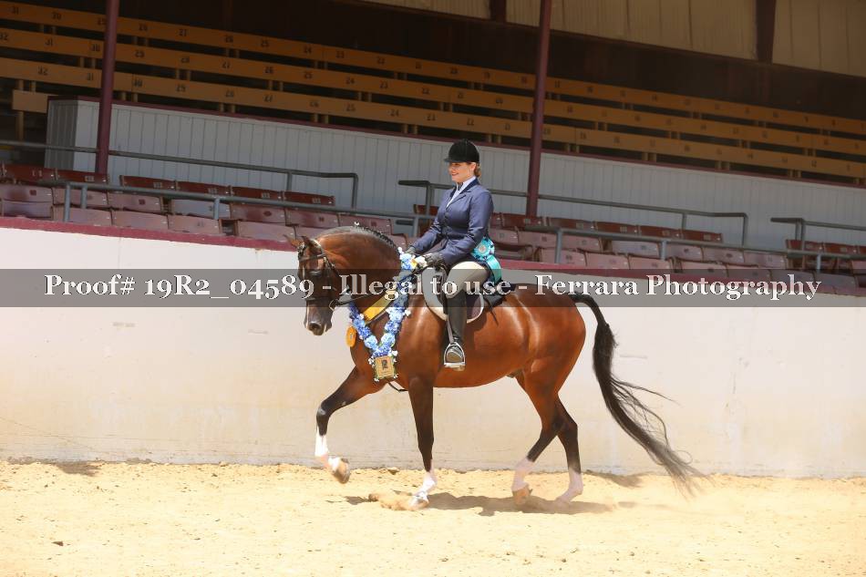 Proof 19R2_04589