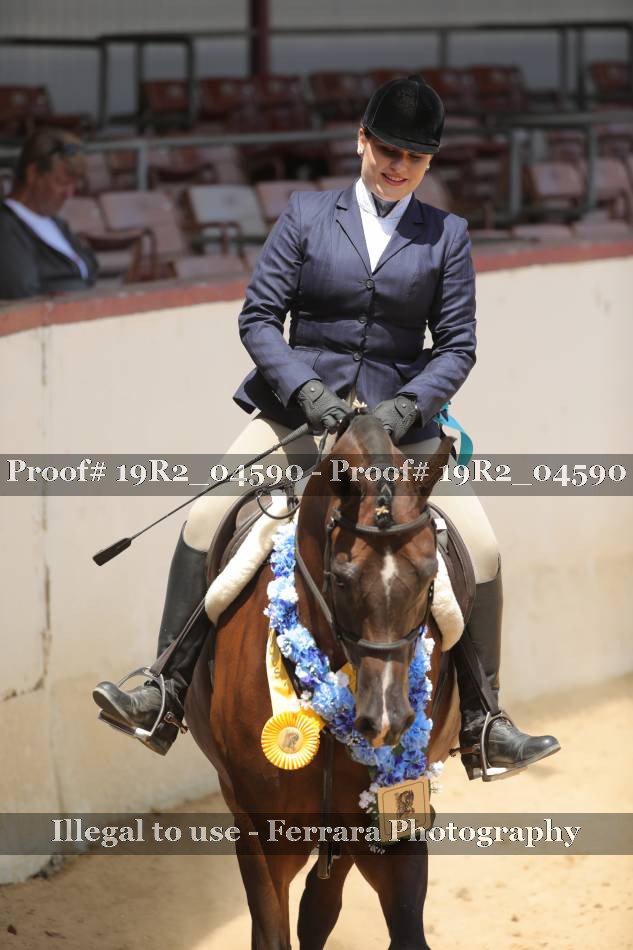 Proof 19R2_04590