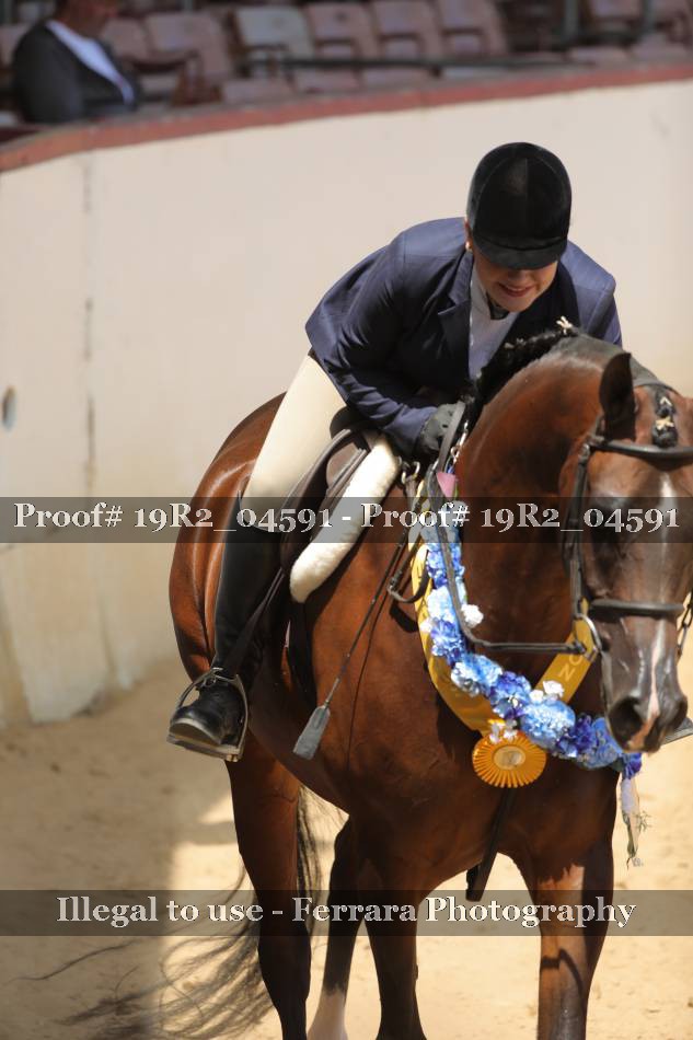Proof 19R2_04591