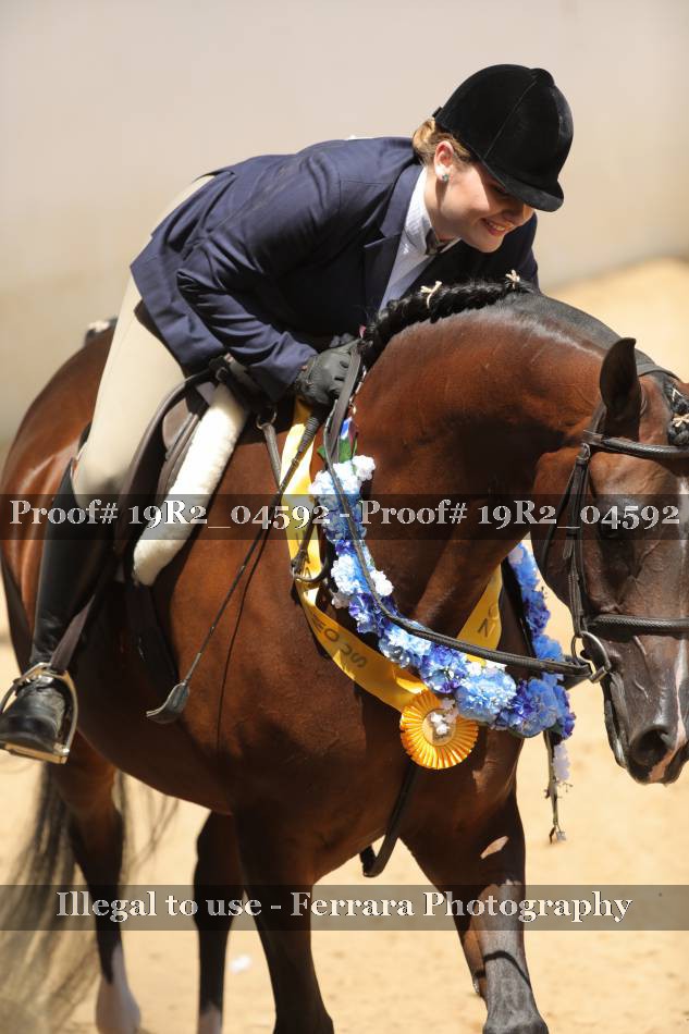 Proof 19R2_04592
