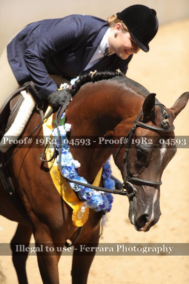 Proof 19R2_04593