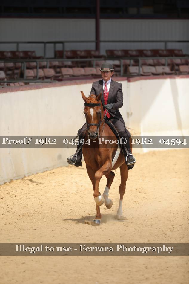 Proof 19R2_04594