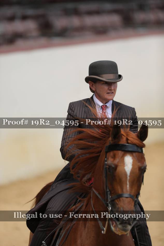 Proof 19R2_04595
