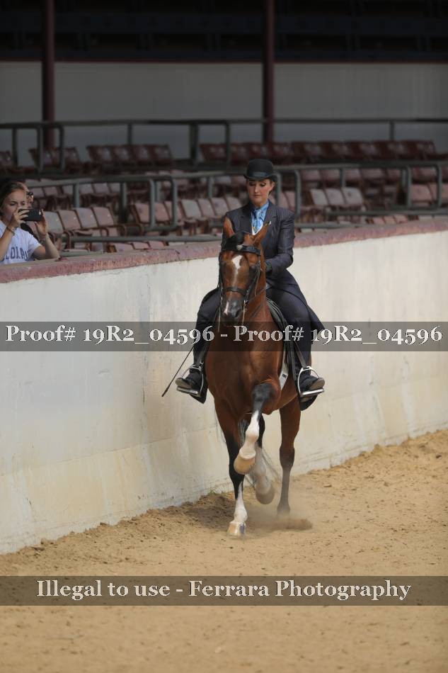 Proof 19R2_04596