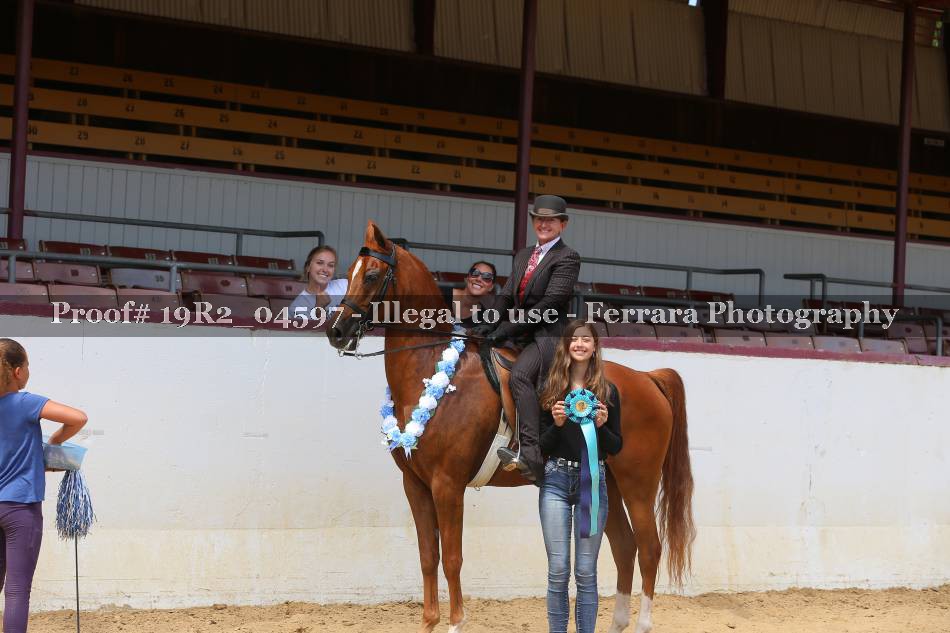 Proof 19R2_04597