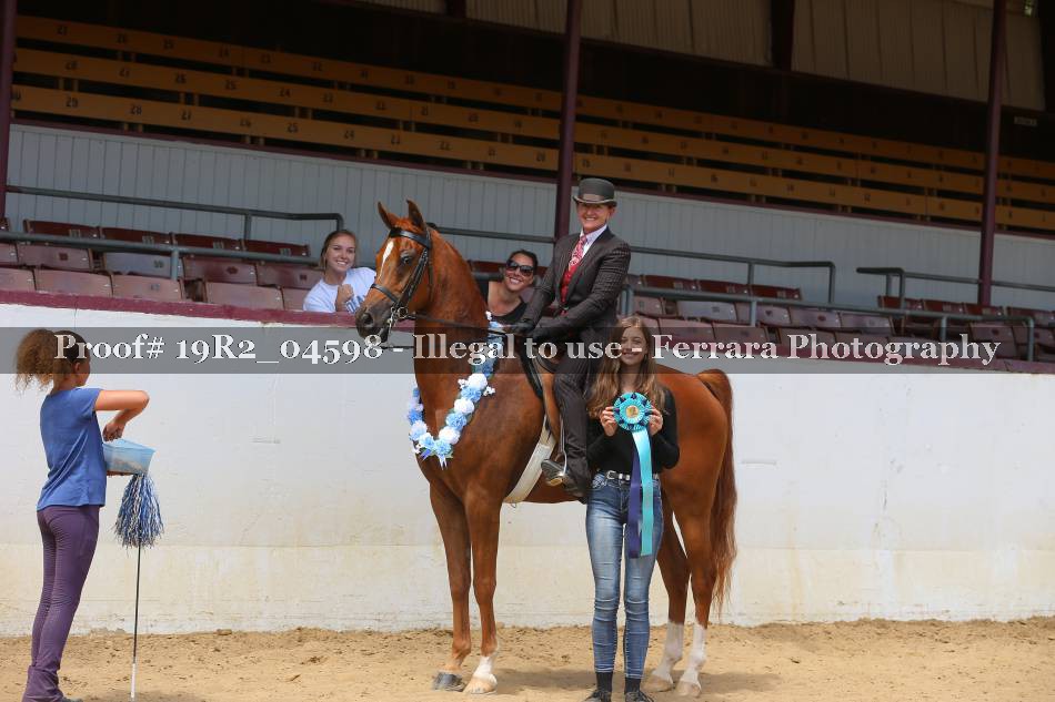 Proof 19R2_04598