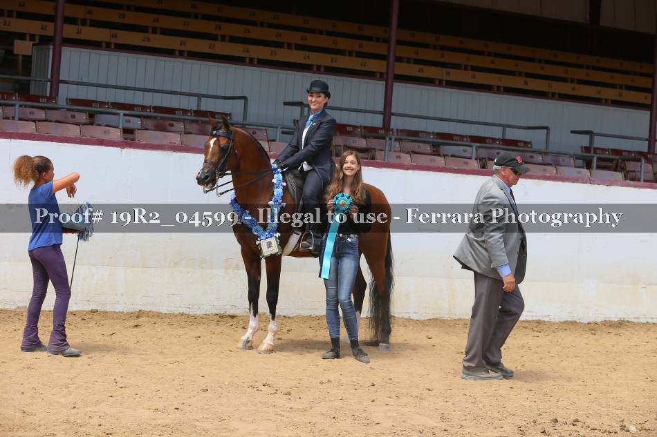 Proof 19R2_04599
