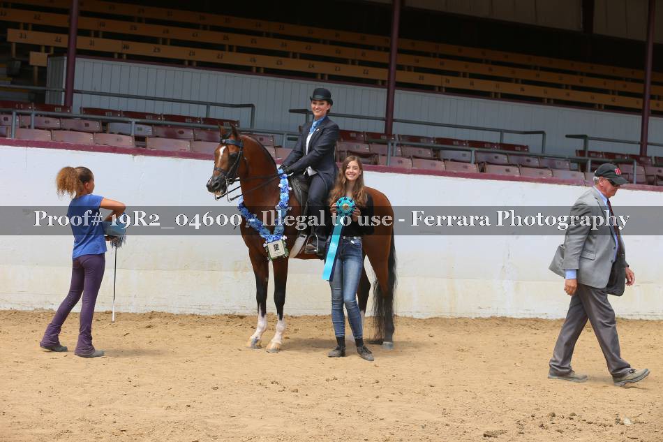 Proof 19R2_04600