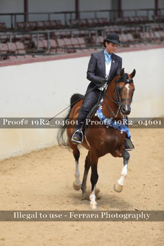 Proof 19R2_04601