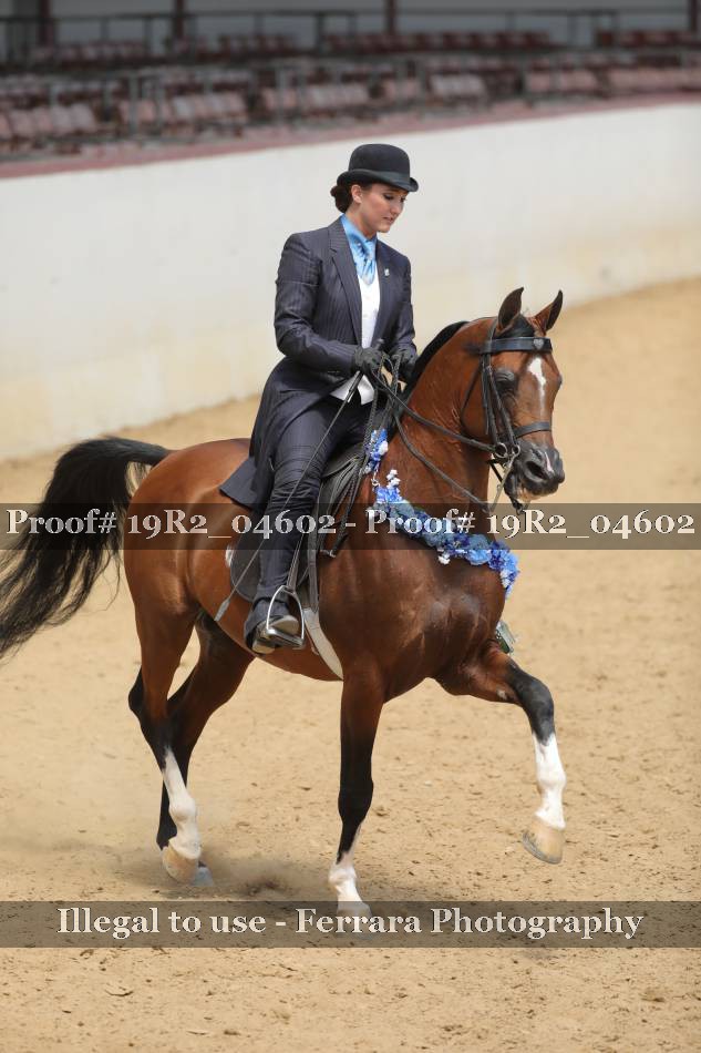 Proof 19R2_04602