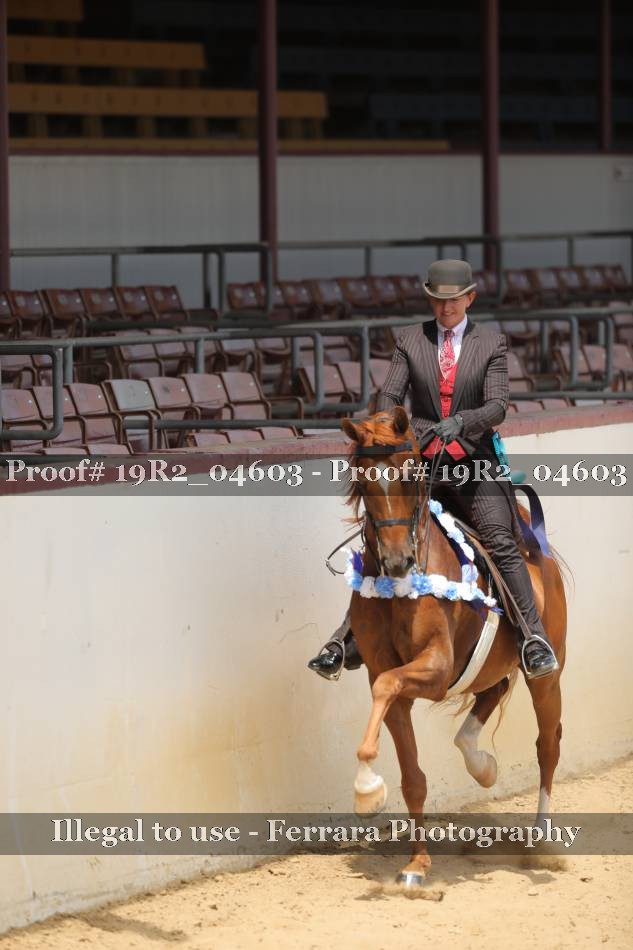 Proof 19R2_04603