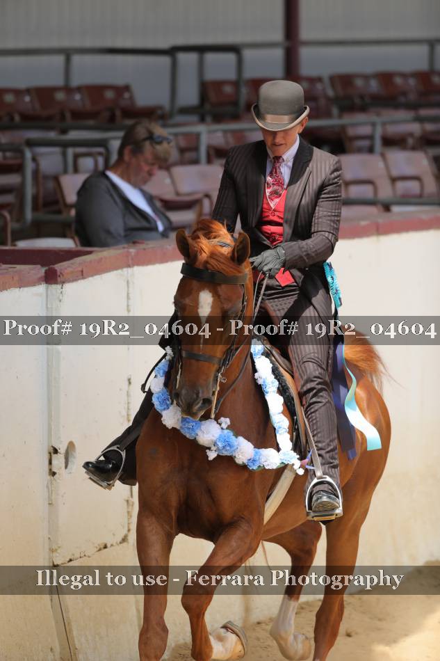Proof 19R2_04604