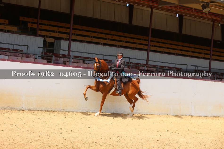 Proof 19R2_04605