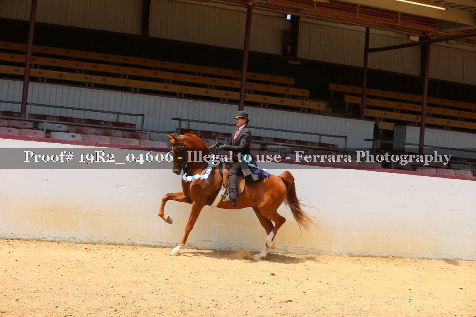 Proof 19R2_04606
